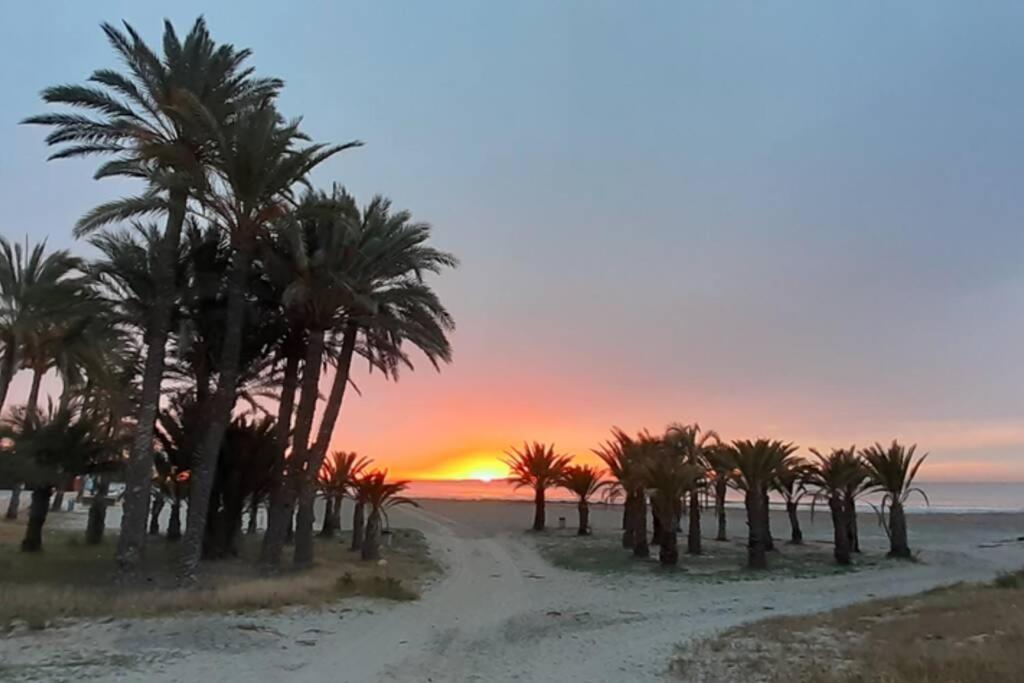 Descansar, Sonreir, Sentir. Paraiso Frente Al Mar Santa Pola Exterior foto